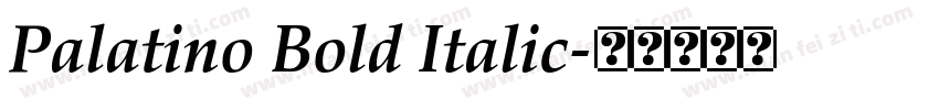 Palatino Bold Italic字体转换